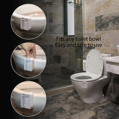 CLEAN BOWL UV Sanitizing Light With LED Motion