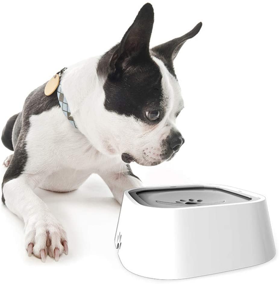 Spill-Proof Travel Dog Bowl – Floating Disk & Anti-Splash Design