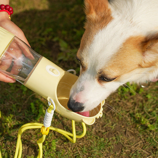 2 In 1 Portable Pet Water Bottle