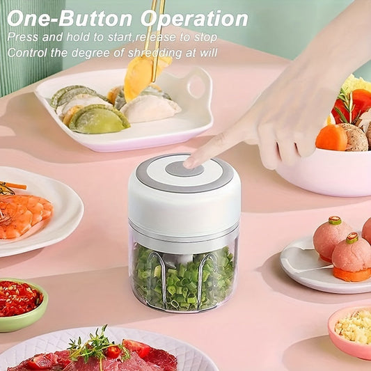 Rechargeable Compact Chopper 250Ml