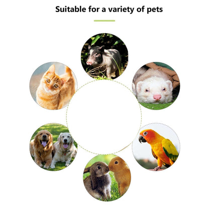 2-in-1 Dog Training Whistle & Clicker – Train Smarter, Bond Stronger