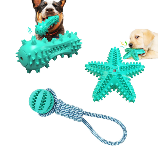 3 Pack Squeaky Dog Toys
