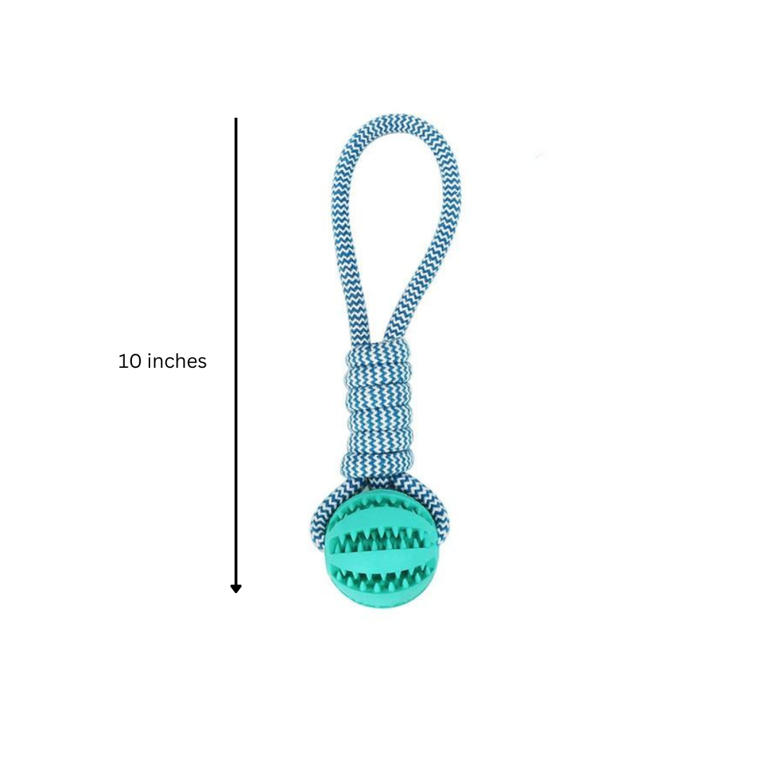 3 Pack Squeaky Dog Toys