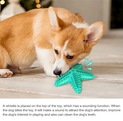 3 Pack Squeaky Dog Toys